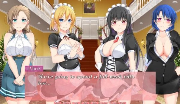 Himeko Maid — порно игра