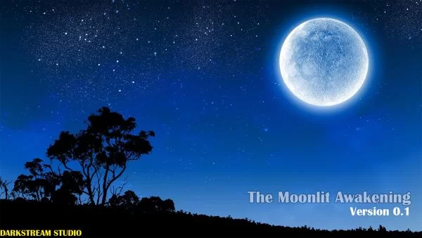 The Moonlit Awakening